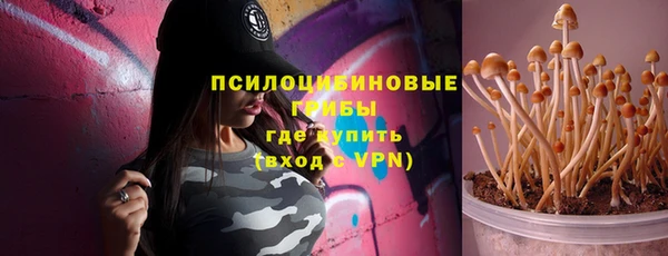 эйфоретик Алексеевка