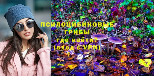 экстази Алексин