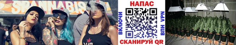 даркнет сайт  Курлово  Каннабис MAZAR 